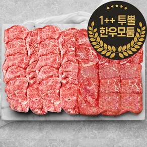 1++ 투뿔 한우 구이 배부른 마블링 모둠 한판 2종 세트 800g 한우혼합세트, 1세트