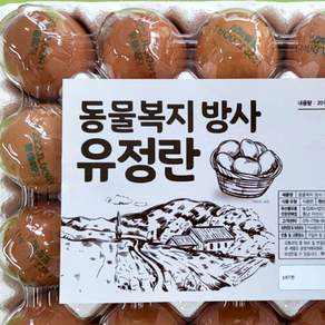 [난각번호1번] 유정란 자연방사 무항생제 40구, 2개, 20구