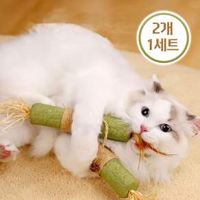 냥이묘해 고양이 이갈이 장난감 치발기 빅캣닢 스틱, 2개