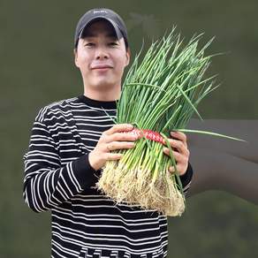 흰대가 많은 대파모종 다발 대파모종 100개