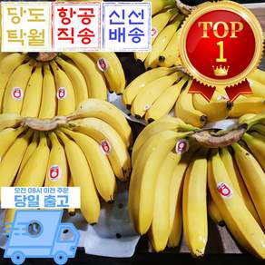 믿고마트 바나나 열대과일 큰바나나, 1박스, (바나나 대과 2송이) 4.2kg 내외