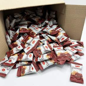 리치 오트밀 초콜릿 미니바이트 대용량 과자 300개