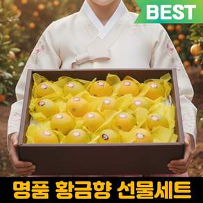 [명절한정특가] 실패없는 프리미엄 제주 황금향 명절 선물세트, 1세트, 3kg (로얄과) 선물용 8-11과 + 선물가방O