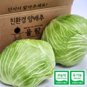 [울팜] 아삭 달달 국내산 친환경 양배추 무농약 유기농 제주 무안 밀양, 1박스, 2kg