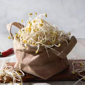콩나물 1kg 산소콩나물 무농약 친환경 국산콩, 1개