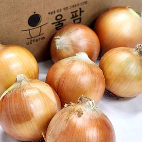 [울팜] 국내산 아삭 달달 단단한 창녕 양파, 1개, 양파(대) 5kg