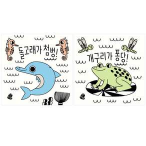 보림