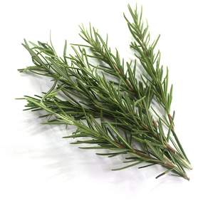 쉐프의정원 농장에서 키운 로즈마리, 1개, 50g