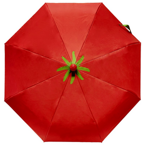 [EarpEarp 본사] 귀여운 여름 우산 단우산 3단우산