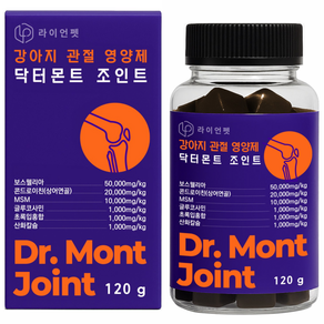 닥터몬트 조인트 강아지 고양이 관절 영양제 슬개골 탈구 전연령 고함량, 1개, 뼈/관절강화