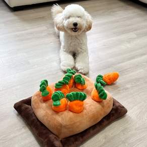 반려생각 당근밭 노즈워크, 1개, 주황색