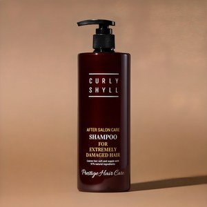 [공식판매처] 커리쉴 에프터 살롱 케어 샴푸 (극손상) 500g, 1개