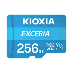 키오시아 EXCERIA 마이크로 메모리 카드 홈캠 블랙박스 CCTV SD LMEX1L256GG2, 256GB, 1개