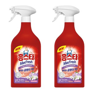 홈스타 맥스프레쉬 뿌리는 곰팡이 싹 세정제, 750ml, 2개