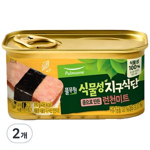 풀무원 지구식단 식물성 콩으로 만든 런천미트, 190g, 2개