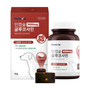 페노비스 인캡슐 강아지 관절영양제, 뼈/관절강화, 90g, 1개