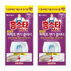 홈스타 맥스 퍼펙트 변기클리너, 540ml, 2개