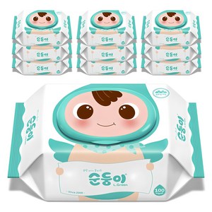 순둥이 오리지널 엘그린 아기물티슈 캡형 50평량, 100개입, 10개