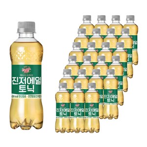 캐나다드라이 진저에일 토닉, 300ml, 24개