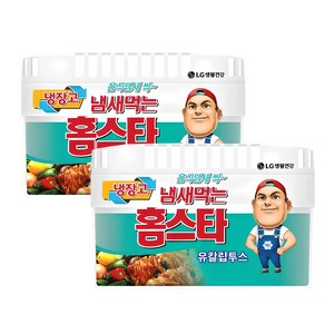 홈스타 유칼립투스 냉장고용 탈취제 본품, 상세 설명 참조, 2개