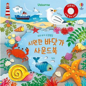 Usborne우리 아기 오감발달 시원한 바닷가 사운드북, 어스본코리아, 샘 태플린 글/페데리카 아이오사 그림