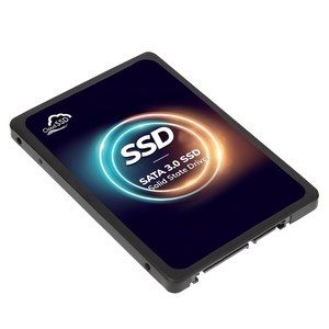 한창코퍼레이션 CLOUD SSD, 512GB