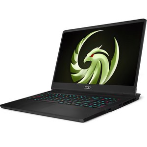 MSI 2023 Alpha17 라이젠9 7945HX 지포스 RTX 4070, 블랙, 1TB, 16GB, Free DOS, MS-17K