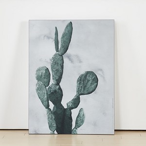 서우 액자테이블 중 60 x 48cm, 마블선인장
