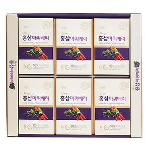 천제명홍삼 홍삼 마퀴베리 30p 설 선물세트 + 쇼핑백, 1500ml, 1세트