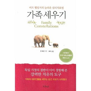 가족 세우기:버트 헬링거의 놀라운 심리치료법, 샨티, 존 페인 저/풀라 역