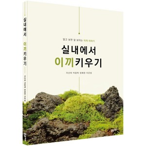 [플로라]실내에서 이끼키우기 : 알고 보면 잘 보이는 이끼 이야기, 플로라