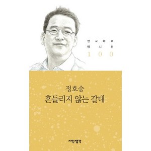 흔들리지 않는 갈대, 시인생각, 정호승 저