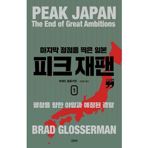 피크 재팬 마지막 정점을 찍은 일본 1(큰글자책), 김영사, 브래드 글로서먼