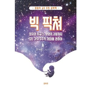 빅 픽쳐:양자와 시공간 생명의 기원까지 모든 것의 우주적 의미에 관하여, 사일런스북, 션 캐럴