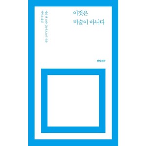 이것은 미술이 아니다, 메리 앤 스타니스제프스키, 현실문화연구