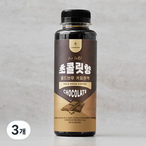 핸디엄 초콜릿향 콜드브루 커피원액, 300ml, 3개