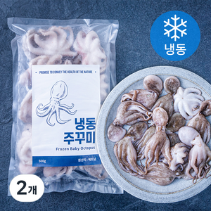 바이오션 주꾸미 (냉동), 500g(10~15마리), 2개