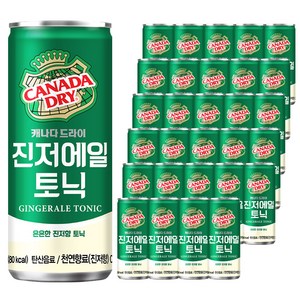 캐나다드라이 진저에일 토닉, 30개, 250ml