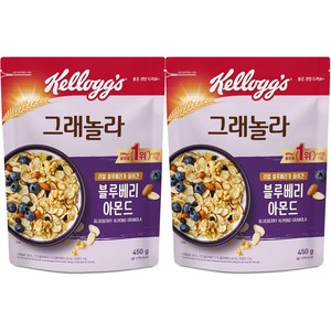 켈로그 블루베리 아몬드 그래놀라 시리얼, 450g, 2개