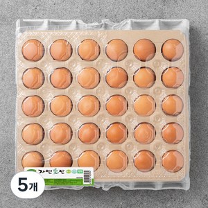 자연애찬 무항생제 특란, 30구, 5개
