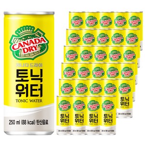 캐나다드라이 토닉워터, 30개, 250ml