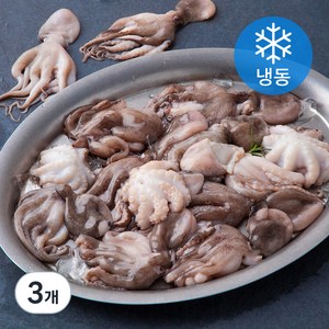 알찬해 손질 주꾸미 (냉동), 500g, 3개