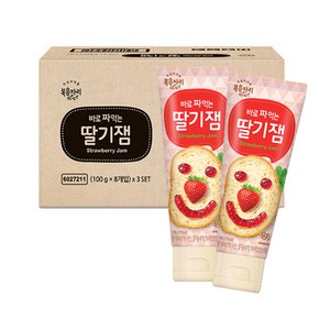 복음자리 바로 짜먹는 딸기잼, 100g, 24개