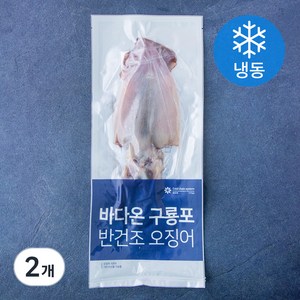 바다온 포항시 인증 구룡포건조 원양산 반건 오징어 3미 (냉동), 270g, 2개