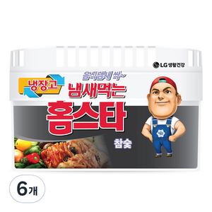 홈스타 냄새먹는 냉장고용 탈취제 참숯 본품, 420g, 6개