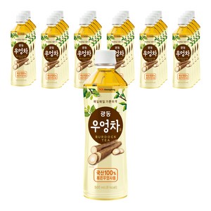 광동제약 우엉차, 500ml, 24개