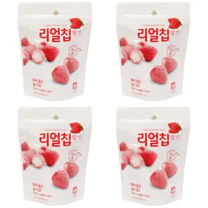 산마을 동결건조 리얼칩 딸기, 13g, 4개