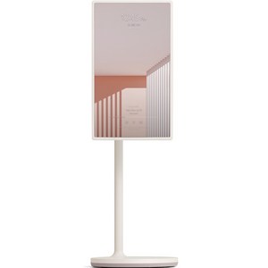 LG전자 FHD LED 스탠바이미 TV, 68cm(27인치), 27ART10CKPL, 스탠드형, 방문설치