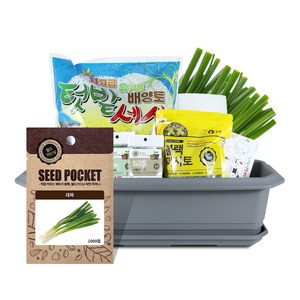 바이오필리아 채소 텃밭세트 + 식물 이름표 랜덤발송, 대파