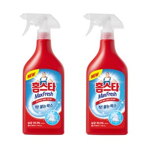 홈스타 맥스프레쉬 착 붙는 락스 스프레이, 750ml, 2개